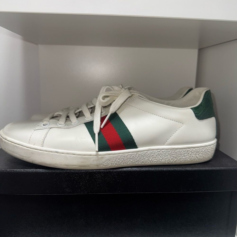 Classic Gucci sneakers